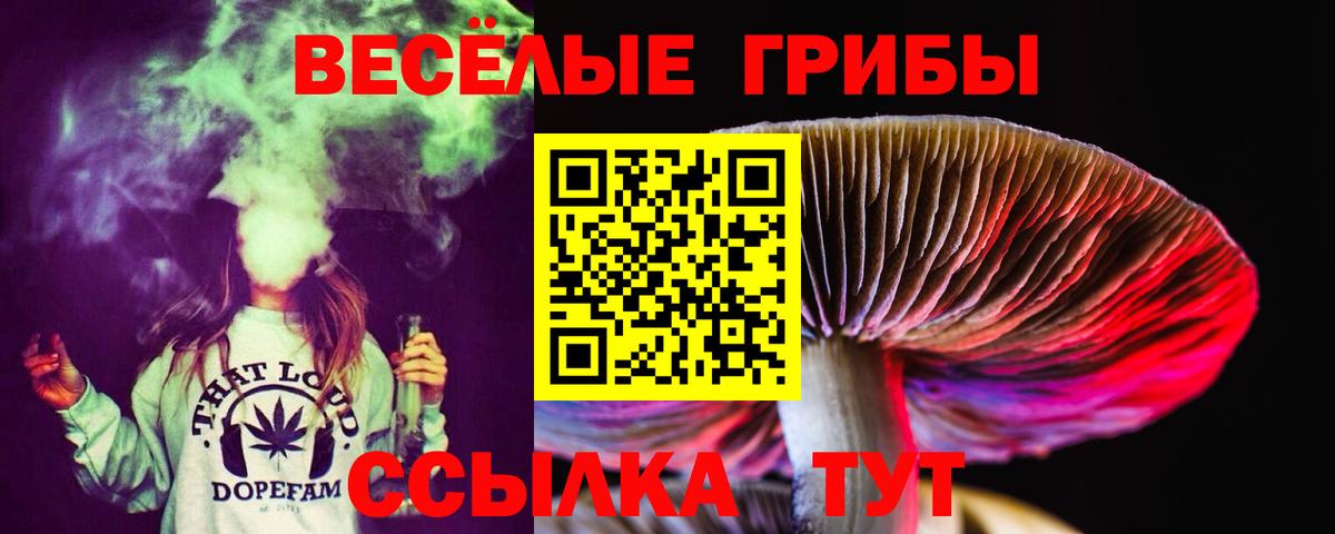 Псилоцибиновые грибы Psilocybe Губкинский
