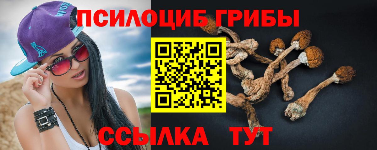 Псилоцибиновые грибы Psilocybine cubensis  Вход с VPN  Губкинский 